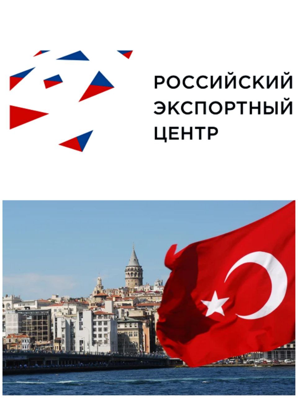 Хаб для экспортеров